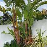 Casa Do Jardim * Palmela