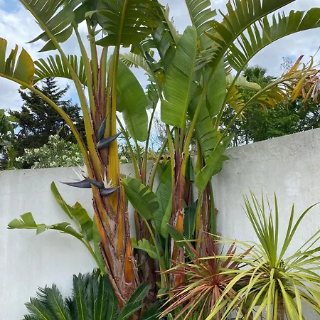 Casa Do Jardim * 파멜라